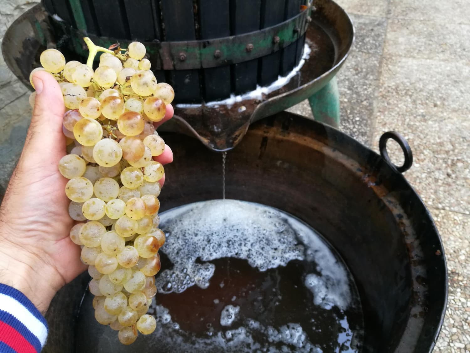 Imagen mosto de un hombre sosteniendo uvas por una prensa de vino